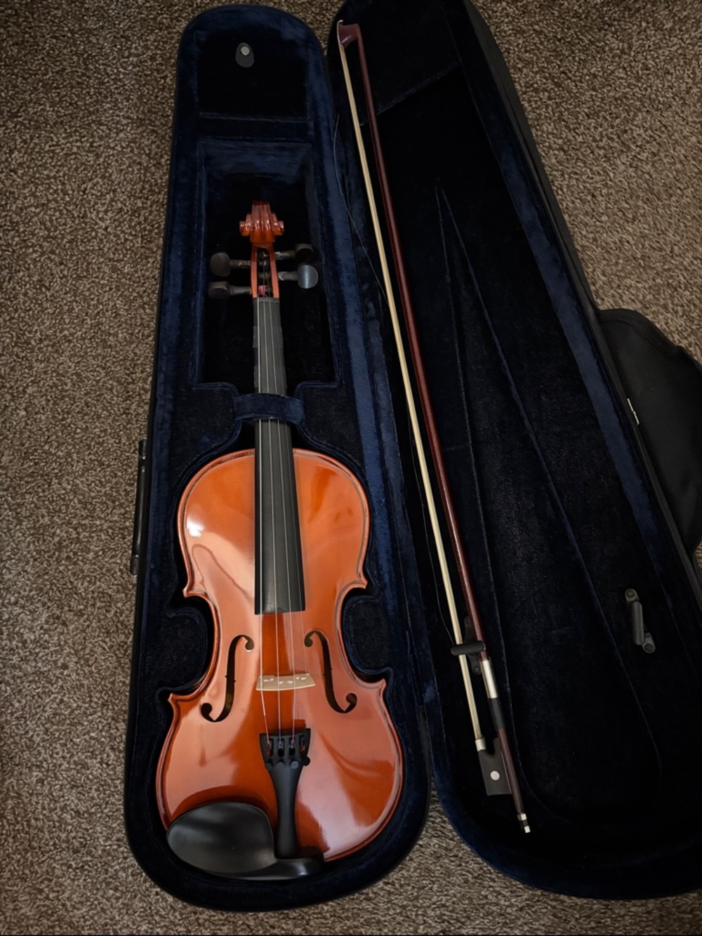 Violin